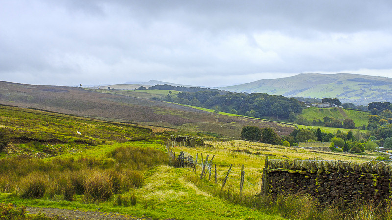 Middle Moor Middle Moor